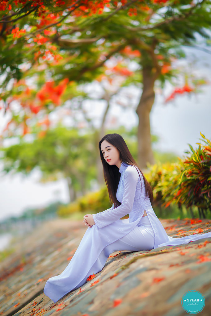 连续剧大全免费